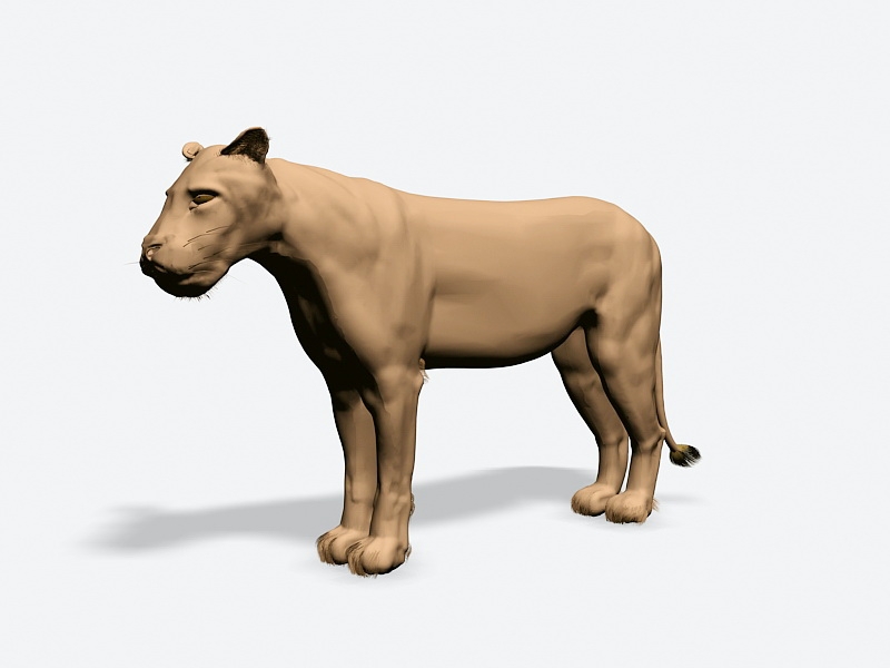 African Lioness 3d rendering