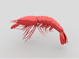 Red Prawn 3d preview