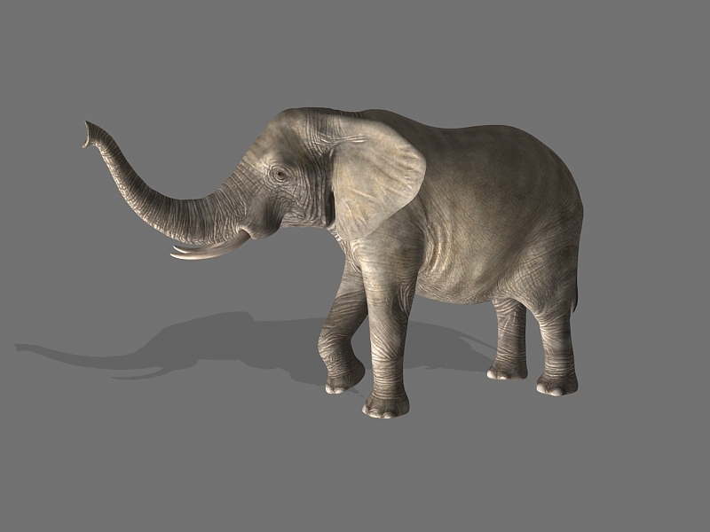 Strong Elephant 3d rendering