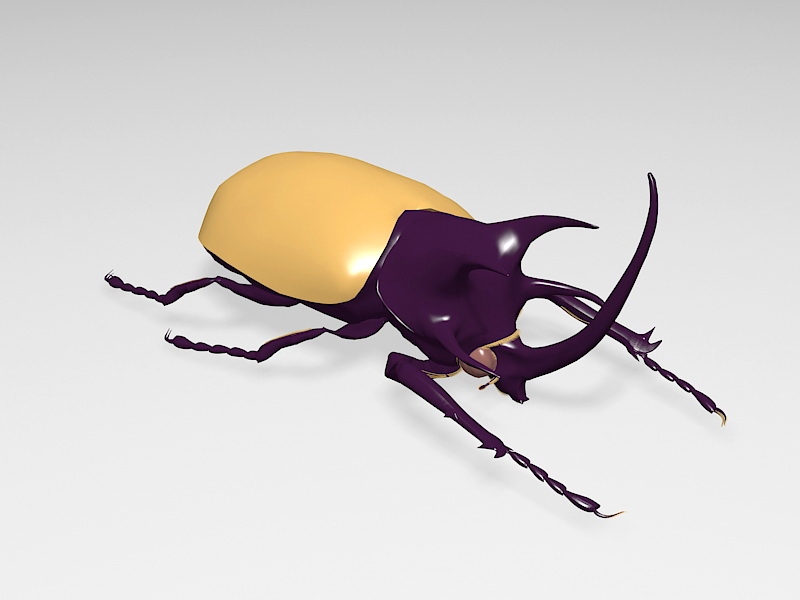 Rhinoceros Beetle 3d rendering