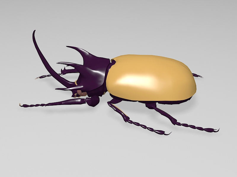 Rhinoceros Beetle 3d rendering
