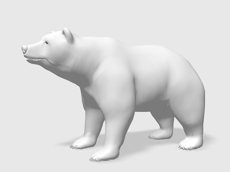 Great White Bear 3d rendering