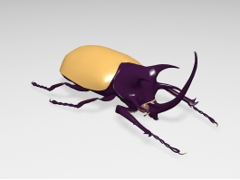 Rhinoceros Beetle 3d model preview