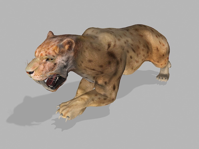 Smilodon Sabertooth Tiger 3d rendering