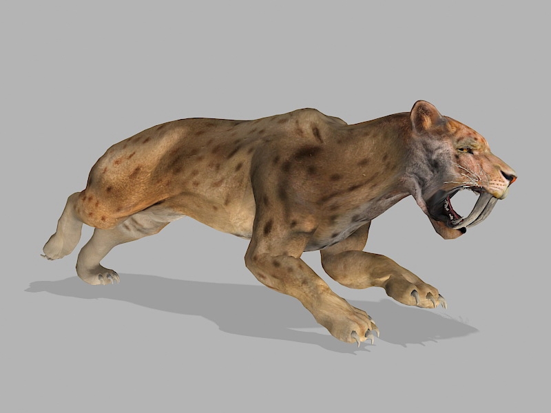 Smilodon Sabertooth Tiger 3d rendering