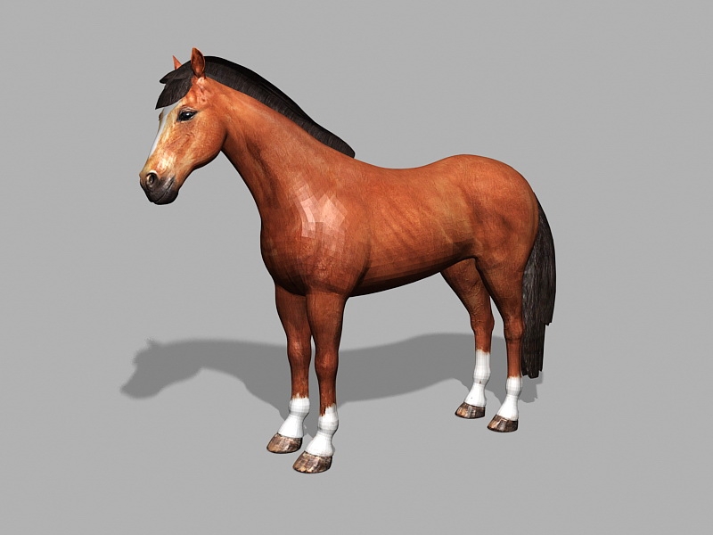 Brown Bay Horse 3d rendering