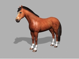 Brown Bay Horse 3d model preview