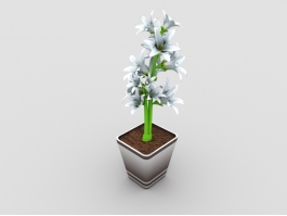 Decor Potted White Lily 3d preview