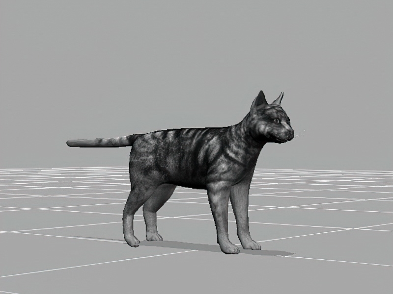 WildCat Animal 3d rendering