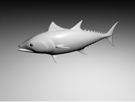 Tuna Fish 3d model preview