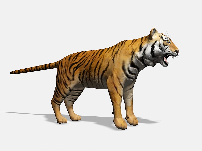 Bengal tiger 3d model - CadNav