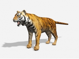 Bengal Tiger 3d preview