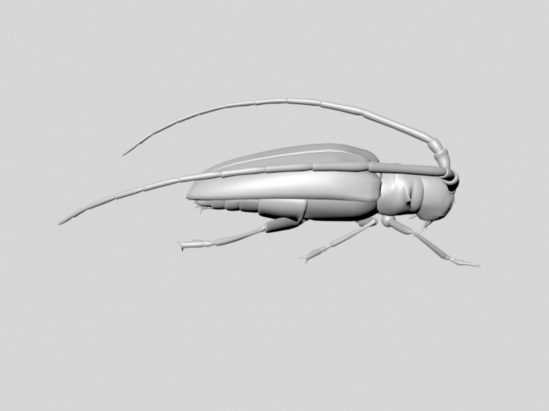 Long-Horned Beetle 3d rendering
