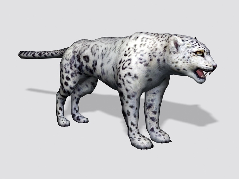Low poly Snow Leopard 3d rendering