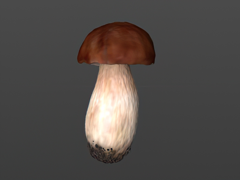 Brown Mushroom 3d rendering