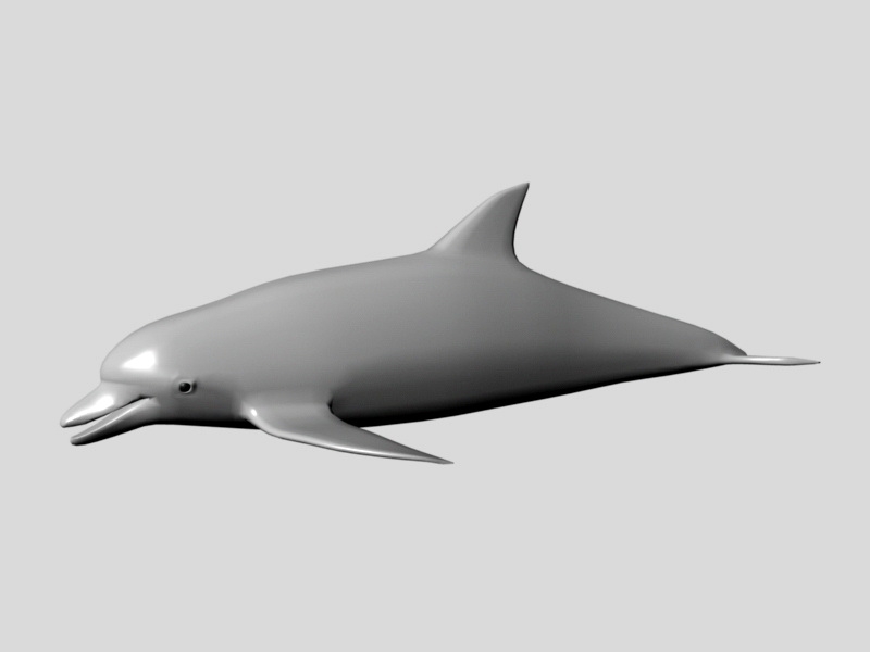 Ocean Dolphins 3d rendering