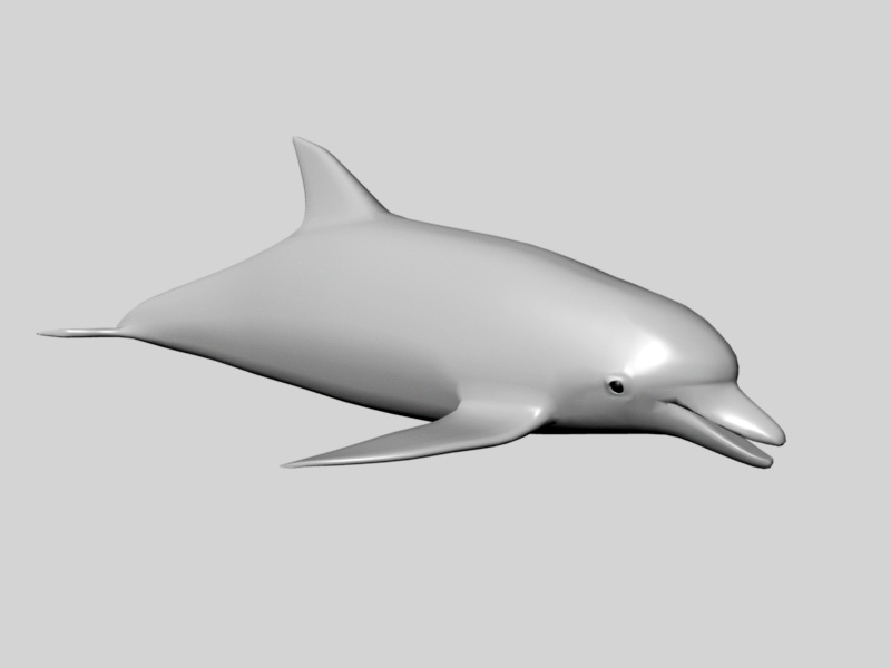 Ocean Dolphins 3d rendering