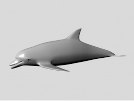 Ocean Dolphins 3d model preview