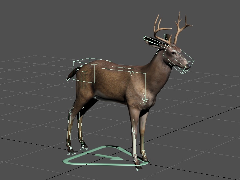 Buck Deer Rig 3d rendering