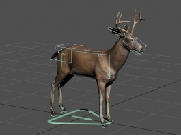 Buck Deer Rig 3d preview