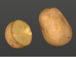 Raw Potato and Half Potato 3d model preview