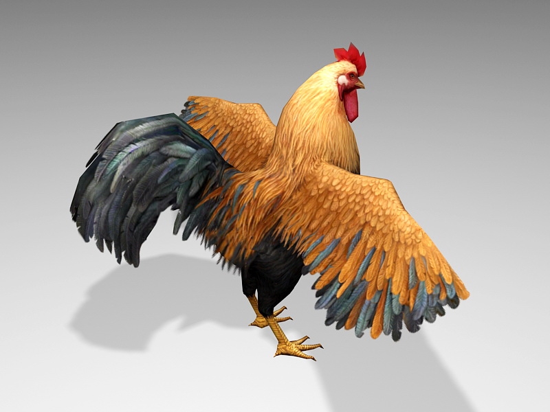 Pretty Rooster 3d rendering