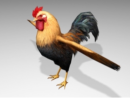 Pretty Rooster 3d preview