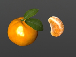 Orange Fruit 3d model preview