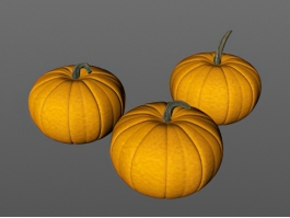 Fall Pumpkin 3d model preview