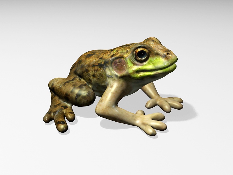Green and Brown Frog 3d rendering