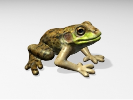 Green and Brown Frog 3d model preview