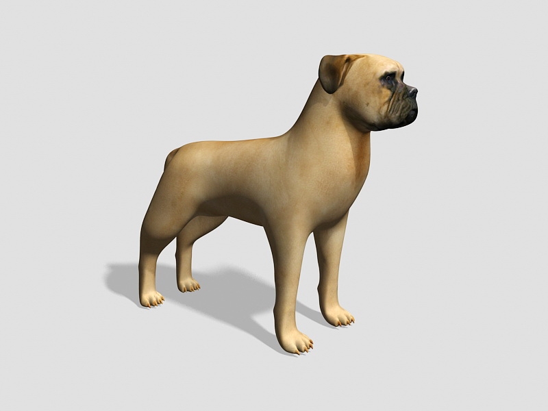 Bullmastiff Dog 3d rendering