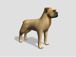 Bullmastiff Dog 3d preview