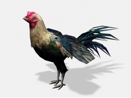 Colorful Chicken 3d preview