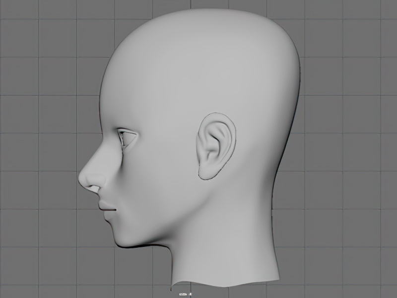 Base Female Head 3d rendering