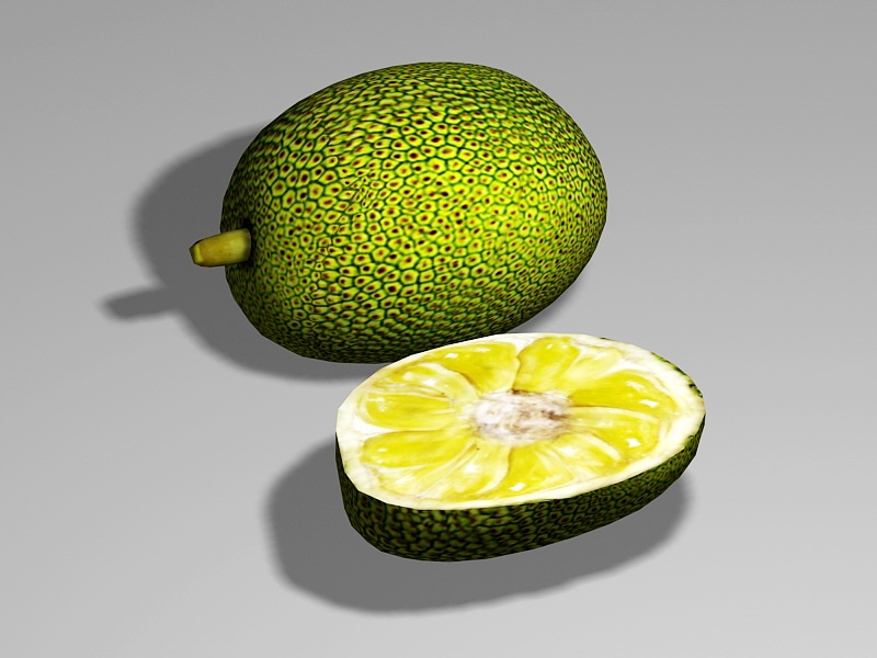 Raw Jackfruit 3d rendering