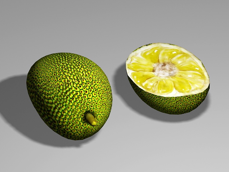Raw Jackfruit 3d rendering