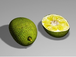 Raw Jackfruit 3d model preview