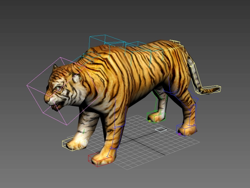Tiger Rigged 3d rendering