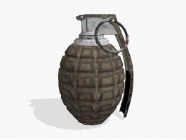 Old Grenade 3d model preview