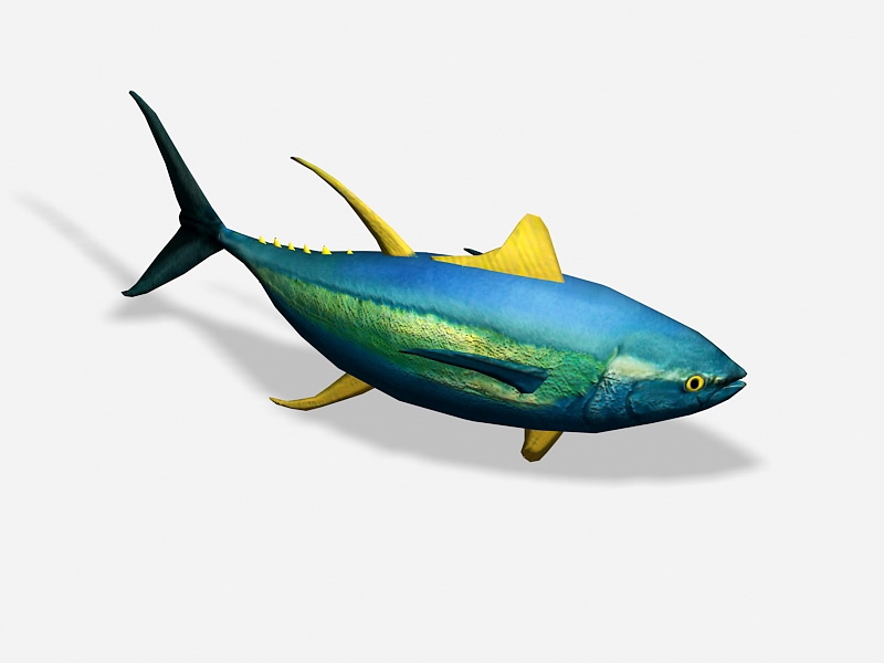 Animated Yellowfin Tuna Rig 3d rendering