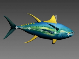 Animated Yellowfin Tuna Rig 3d preview