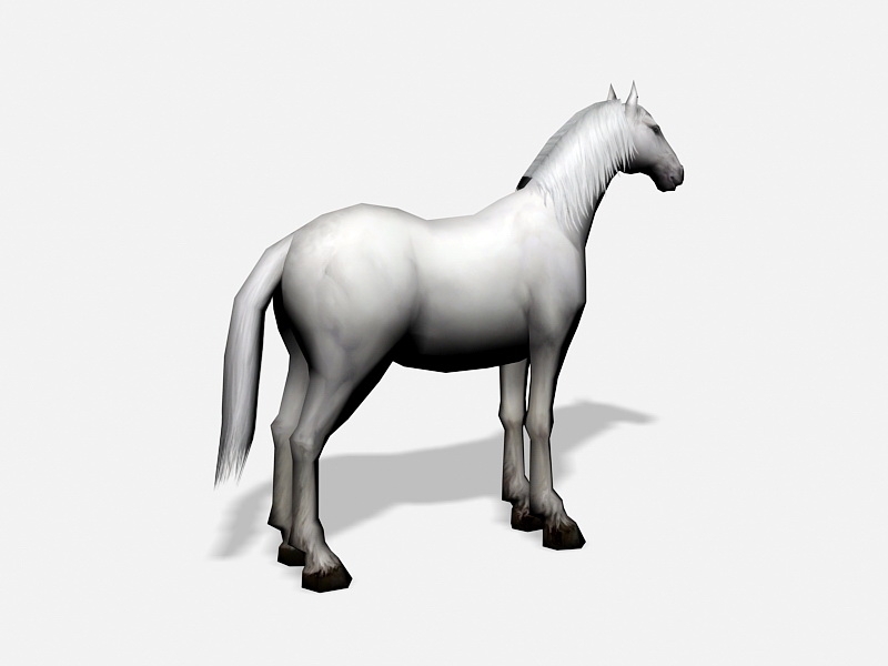 White Arabian Horse 3d rendering