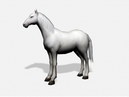 White Arabian Horse 3d model preview