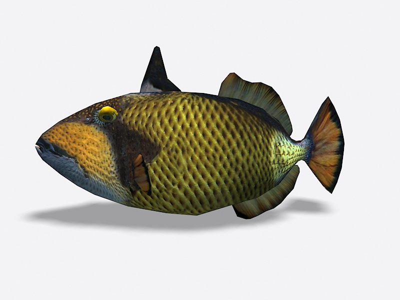 Animated Titan Triggerfish Rigged 3d rendering