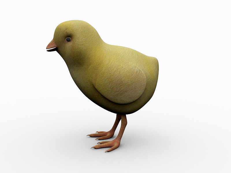 Yellow Chick 3d rendering