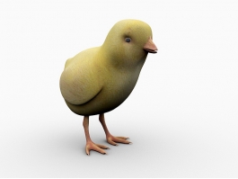 Yellow Chick 3d preview