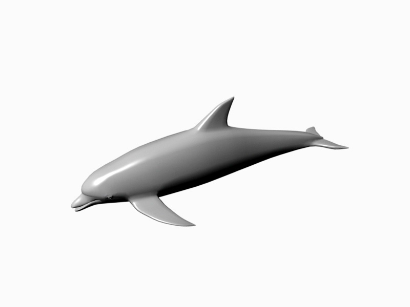 Small Dolphin 3d rendering