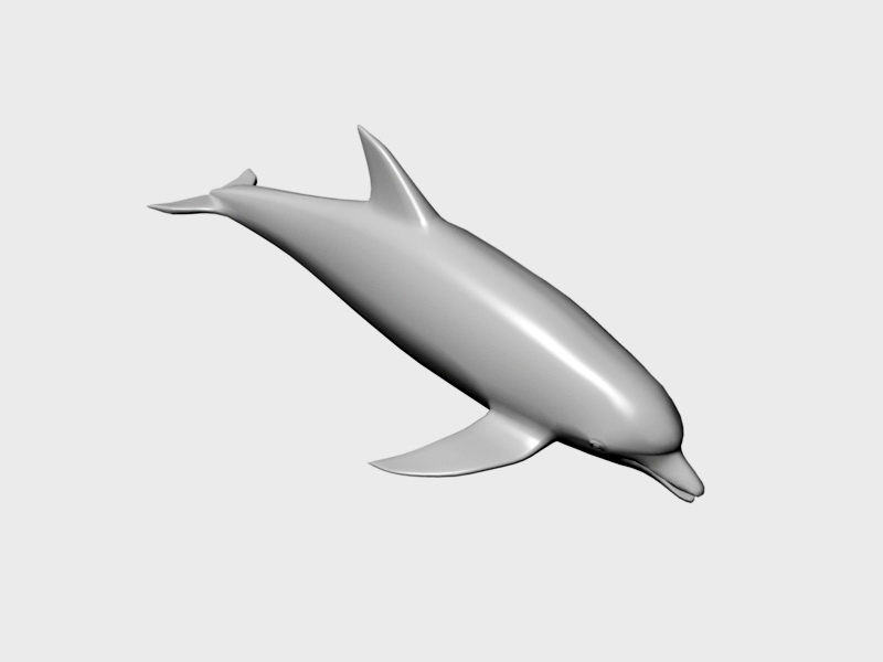 Small Dolphin 3d rendering