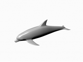 Small Dolphin 3d preview